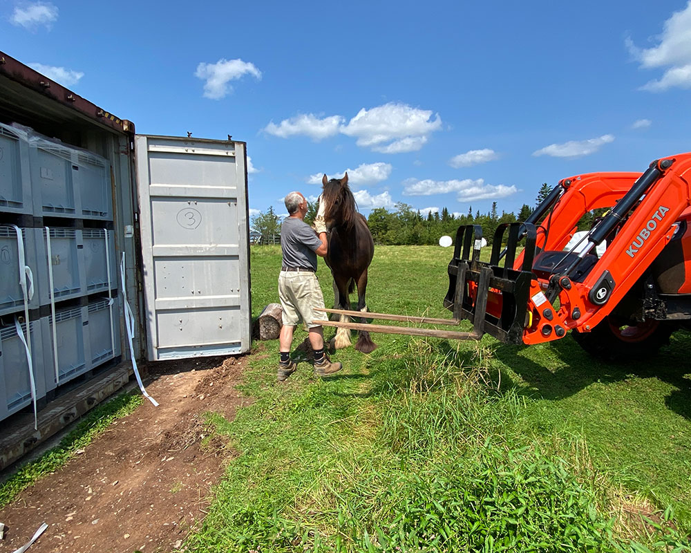 Lindsay Lake Farm Big Move
